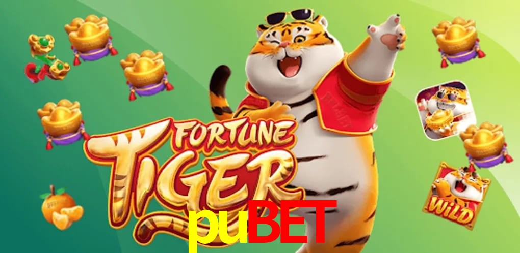 Experiência VIP pubet