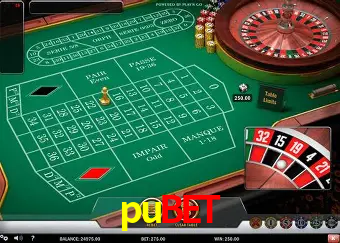 pubet cadastro — tela de formulário no app oficial