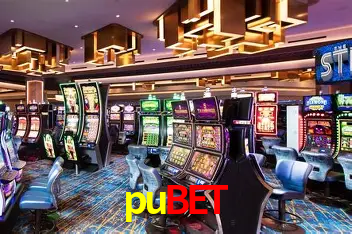 Apostas Esportivas na pubet: Um Guia Completo